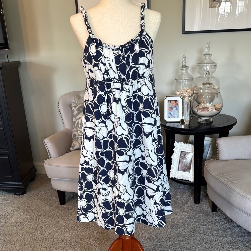 J. Crew Navy and White Sleeveless Sundress